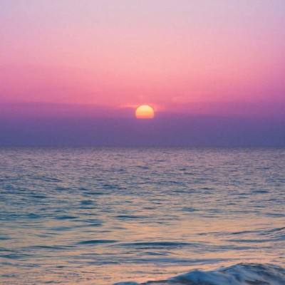 体育电竞押注网站大全