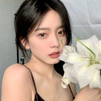 半岛登录平台网址